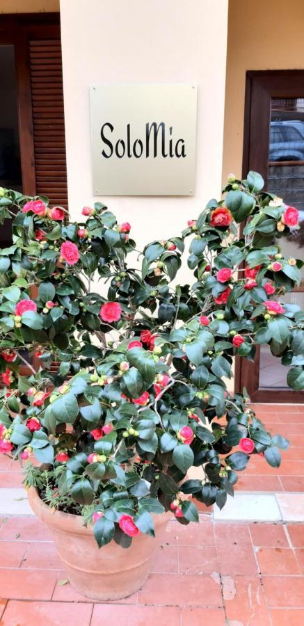 Solomia Hotel Panzano in Chianti Ngoại thất bức ảnh